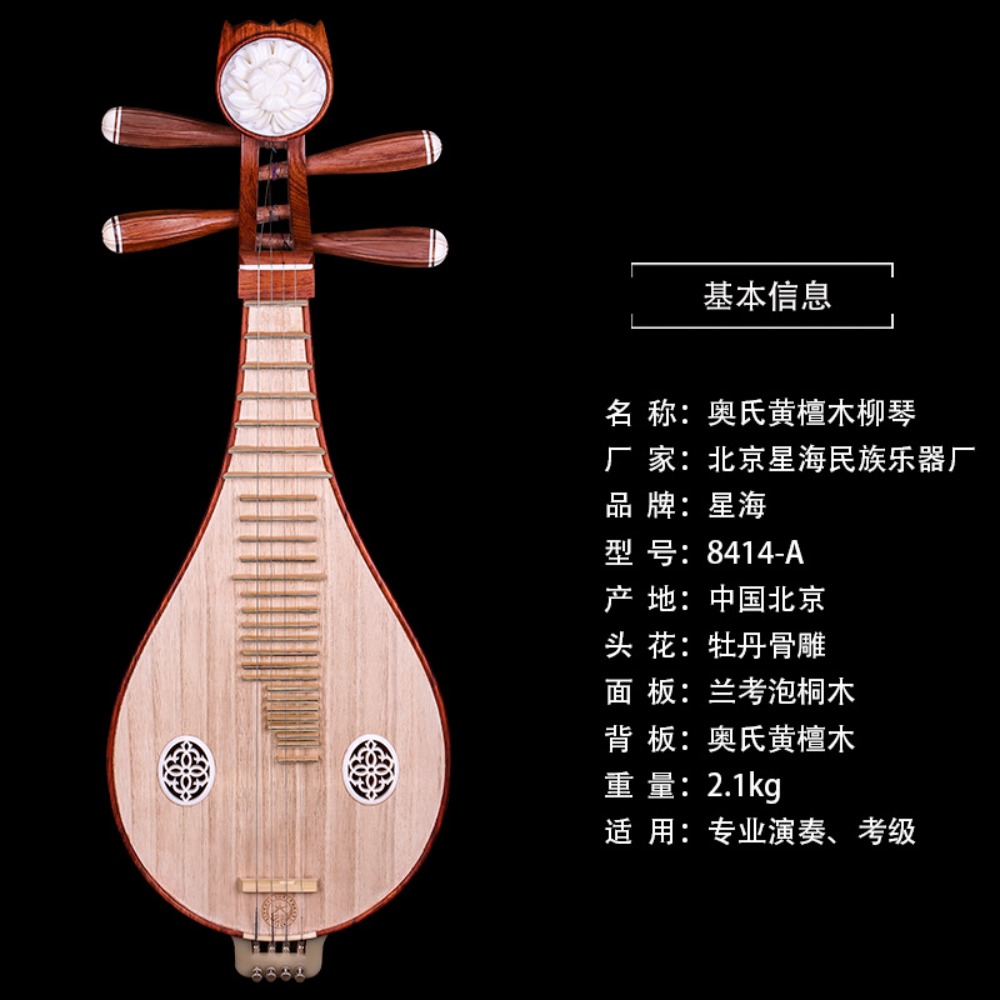 آلة ليوتشين الصينية التقليدية  - مراجعة Musical Instrument ____ وسعره